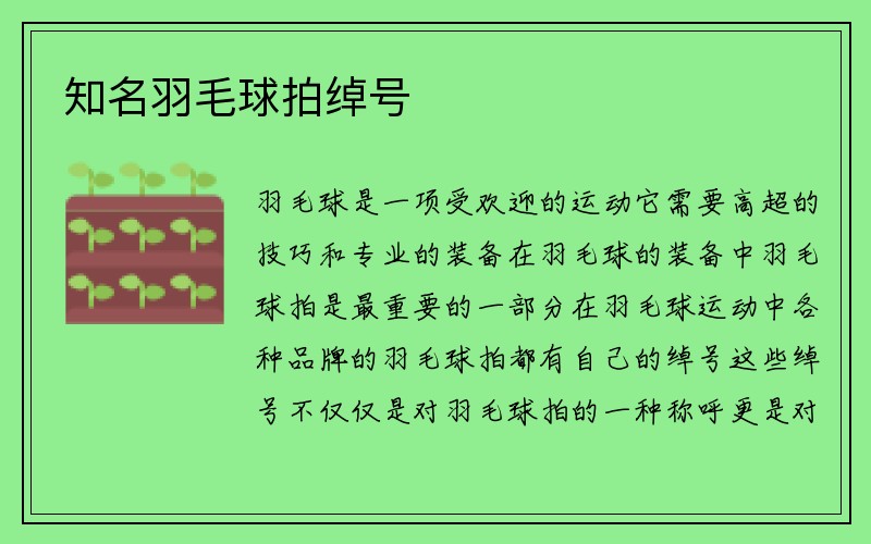 知名羽毛球拍绰号